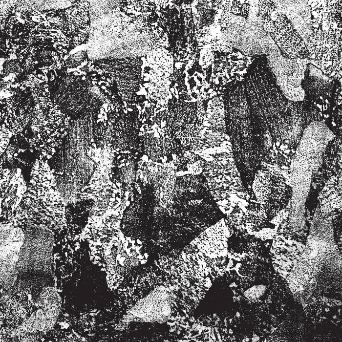 Full of Hell - Auditory Trauma: Full of Hell Isolation Sessions (Vinyl 12")